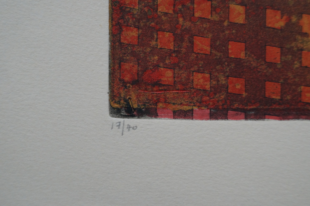 Mark Visione - gesigneerde ets - aware (morning interior) kopen? Bied vanaf 35!