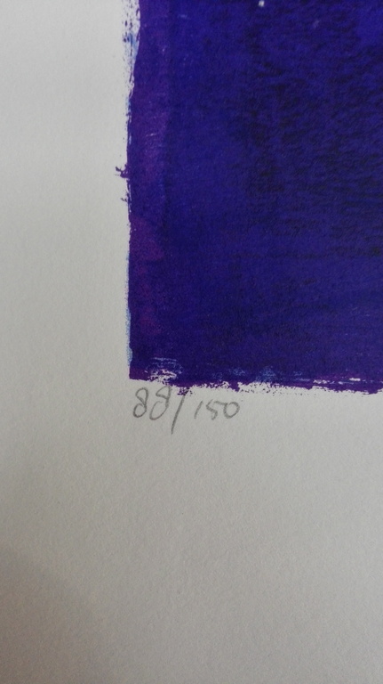 Ron van der Werf, zeefdruk op papier, Titel: Mysterie II kopen? Bied vanaf 50!