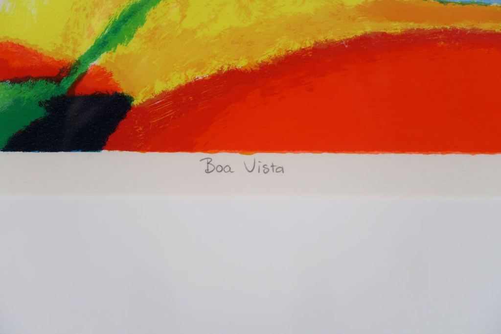 Saskia Bremer: Zeefdruk, Boa Vista - Ingelijst (Groot) kopen? Bied vanaf 40!