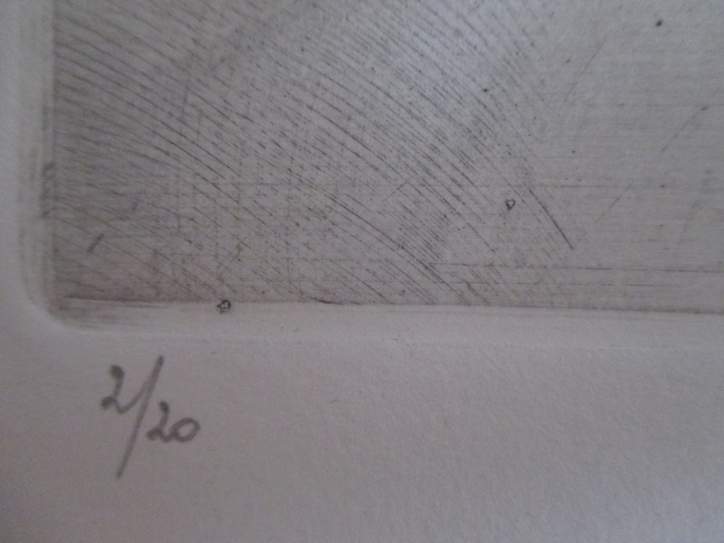 Wittevrongel, ets kopen? Bied vanaf 30!