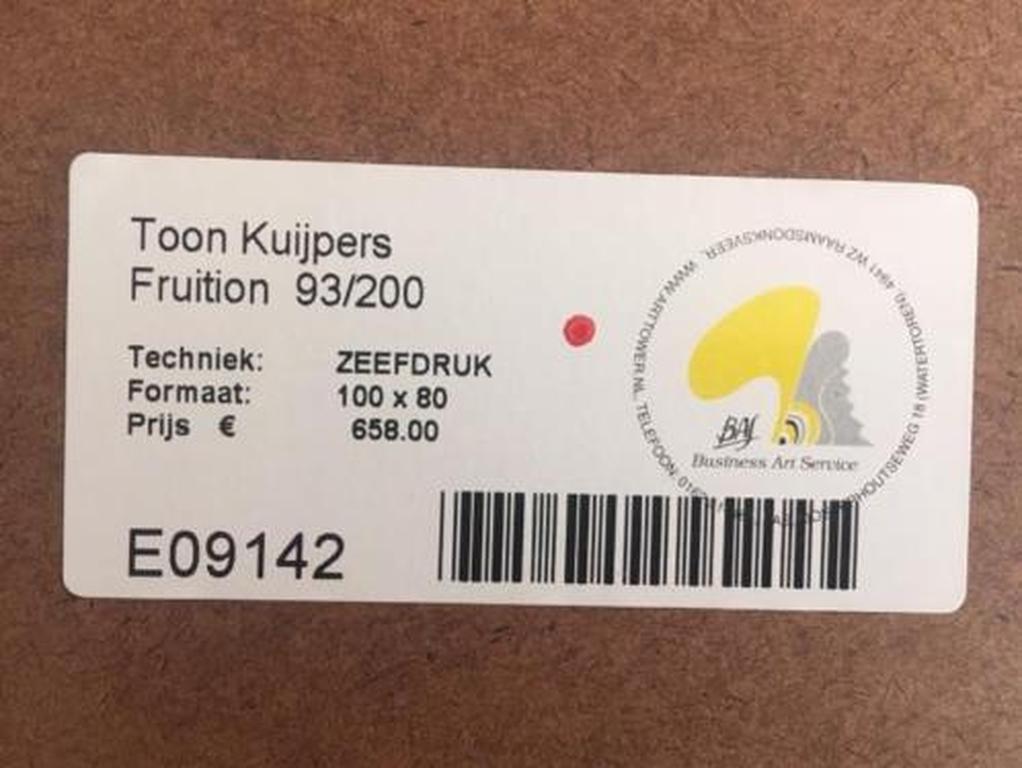 Fruition kopen? Bied vanaf 50!