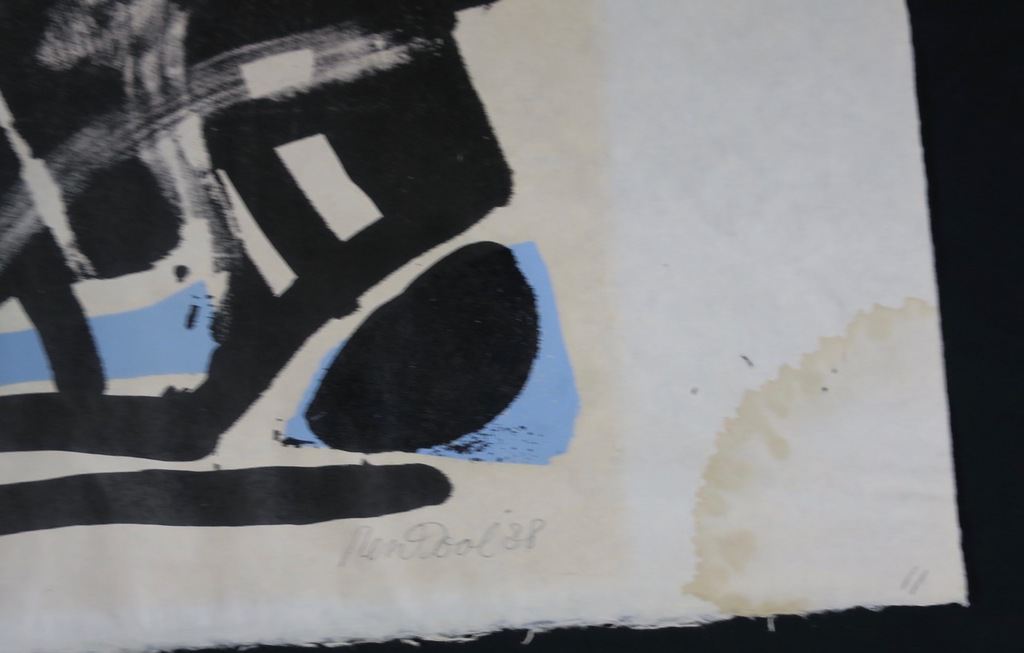 Rein Dool: Litho op Rijstpapier, Z.T. kopen? Bied vanaf 1!