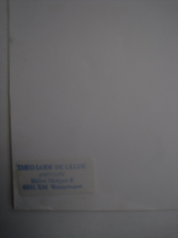 theo Lode de Leede 1934-2004 - unica z/w foto "staand model" gesigneerd kopen? Bied vanaf 1!