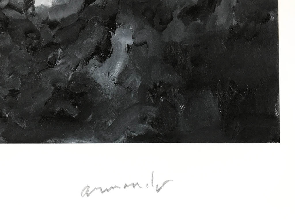 Armando - Armando, ‘Landschaft’, giclée, handgesigneerd en genummerd, 2016, ed. 30  kopen? Bied vanaf 115!