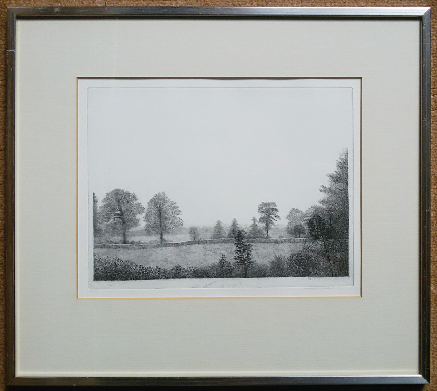 Charles Donker - Rhijnauwen, ets (ingelijst) kopen? Bied vanaf 225!