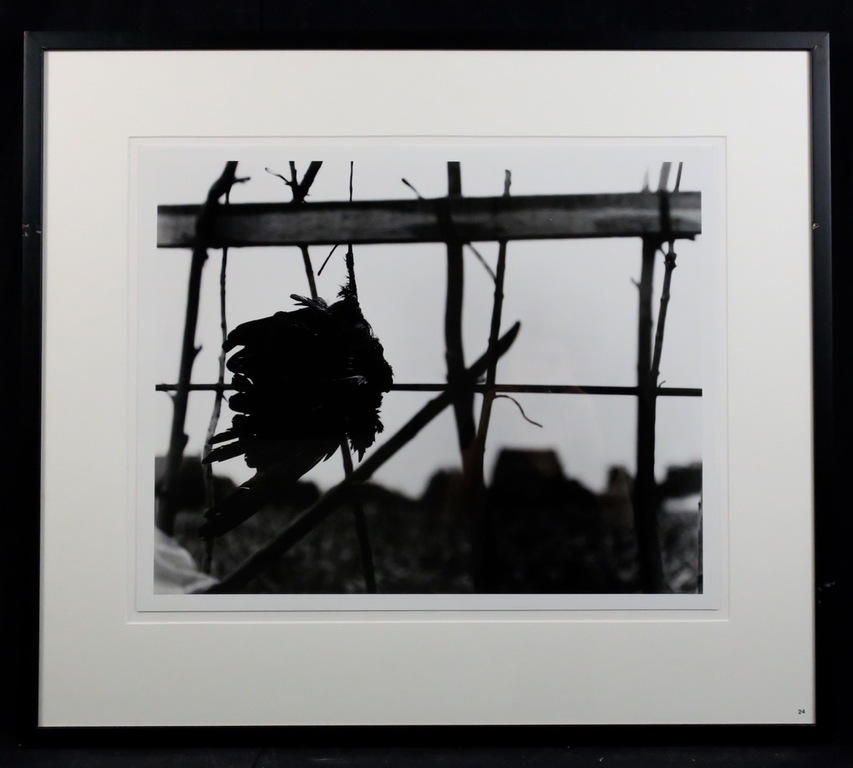 Freddy Rikken: Foto, Hek - Ingelijst verkocht voor € 35!