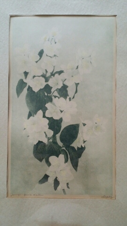 Dirk Harting, Jasmijn, aquatint, gesigneerd verkocht voor € 35!