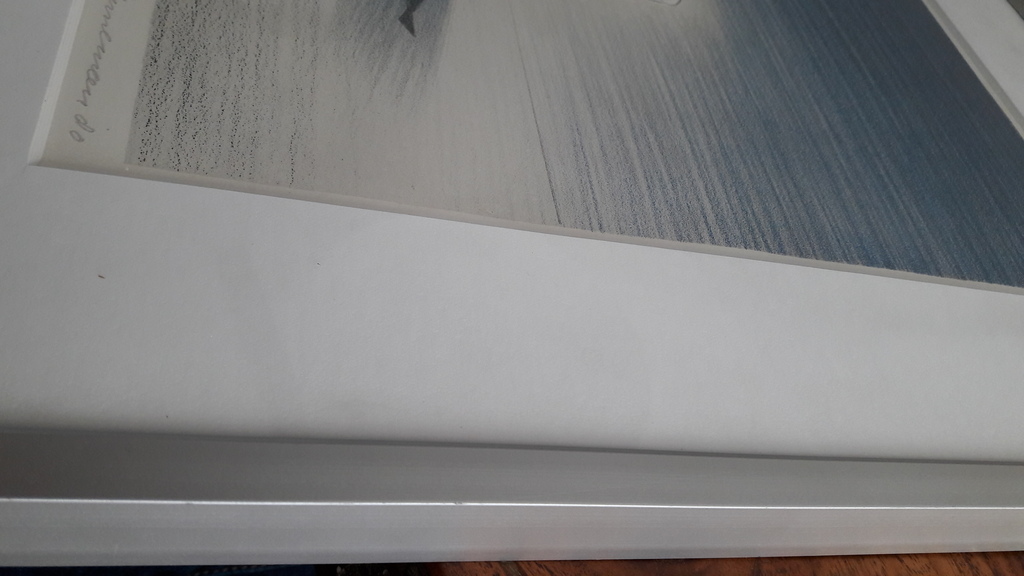 Jeroen Henneman , grafiek/ papier Vis in glas kopen? Bied vanaf 95!