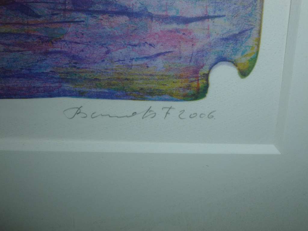 Prachtige kleurenlitho,in beperkte oplage,genummerd,gedateerd en gehandtekend. kopen? Bied vanaf 295!