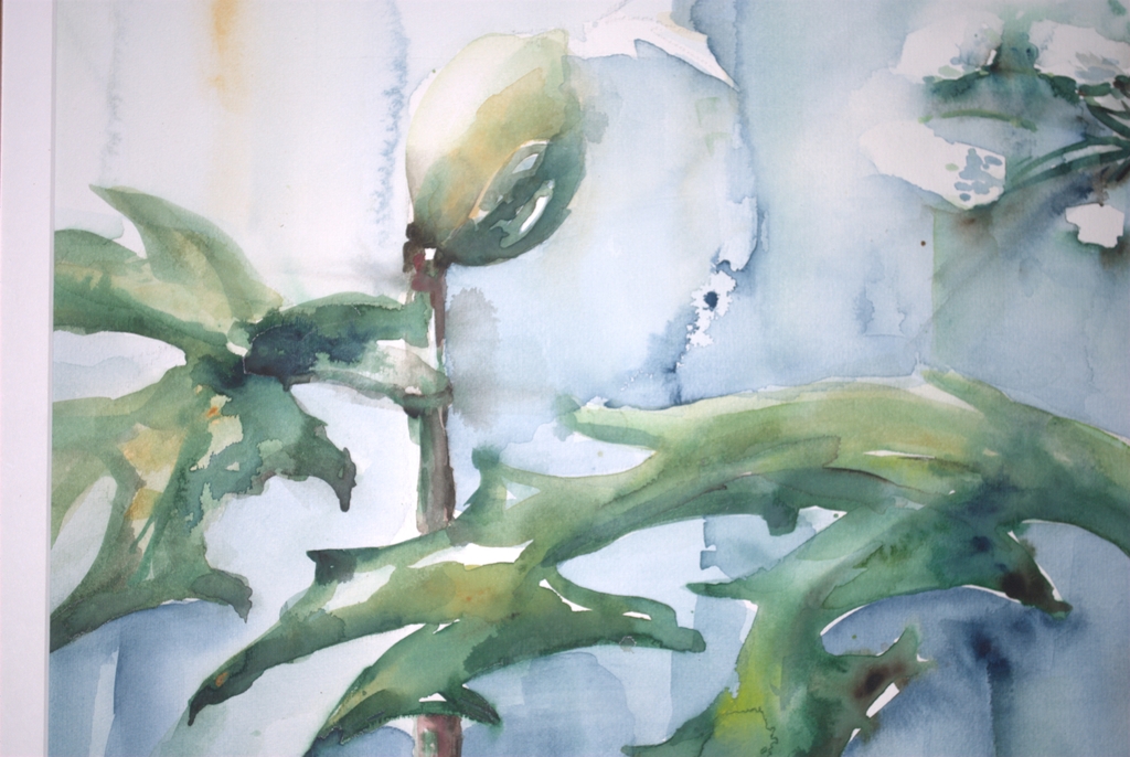 AQUAREL -- 50X70 CM -- FRAAI INGELIJST kopen? Bied vanaf 29!