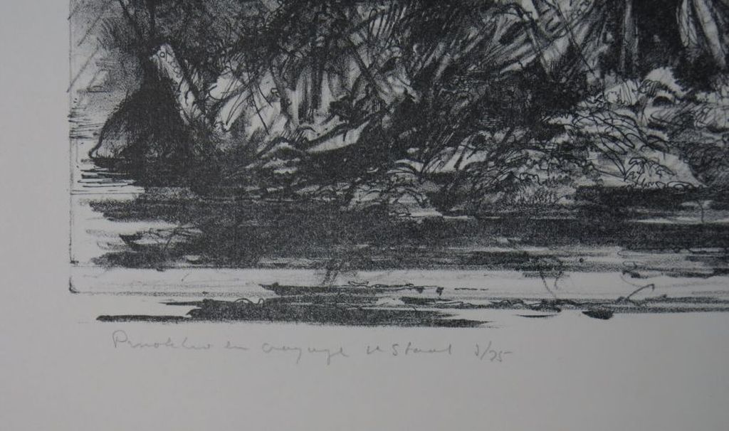 Dirkje Kuik: Litho, Pinokkio en voyage kopen? Bied vanaf 75!