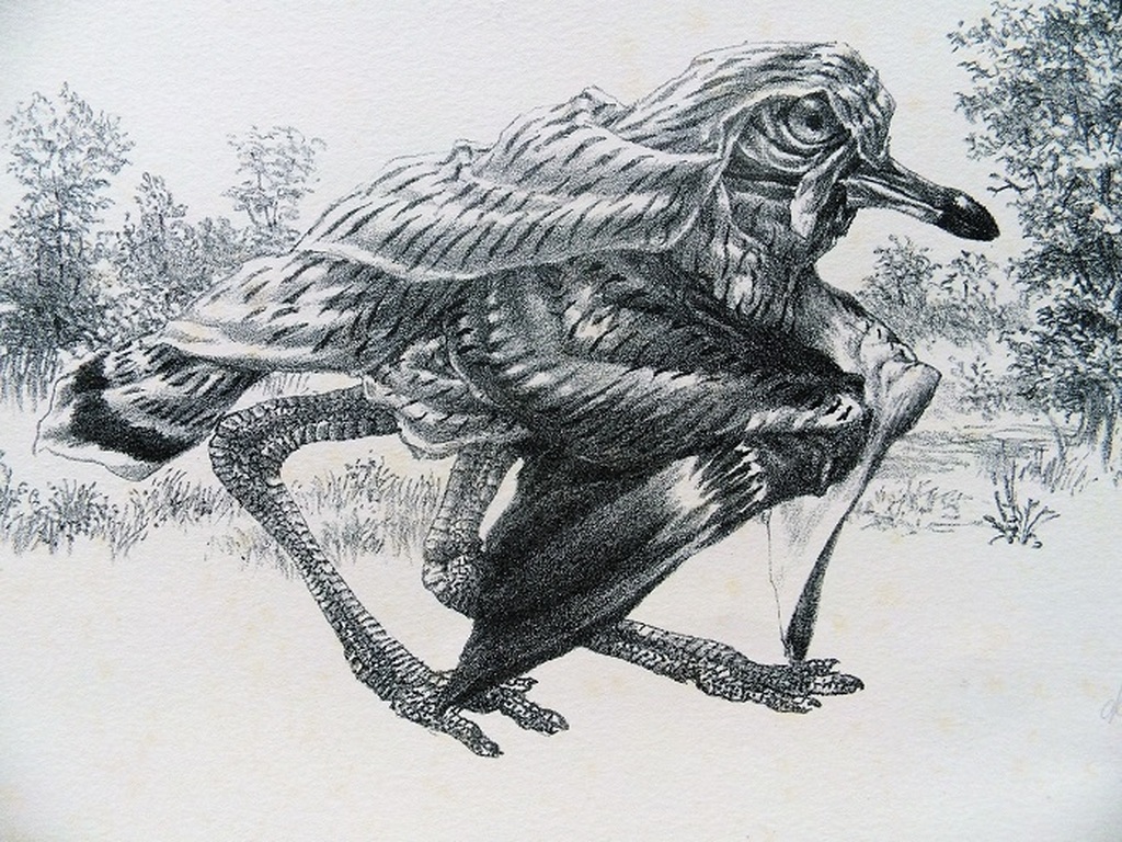 Peter Vos voor de luis kopen? Bied vanaf 65!