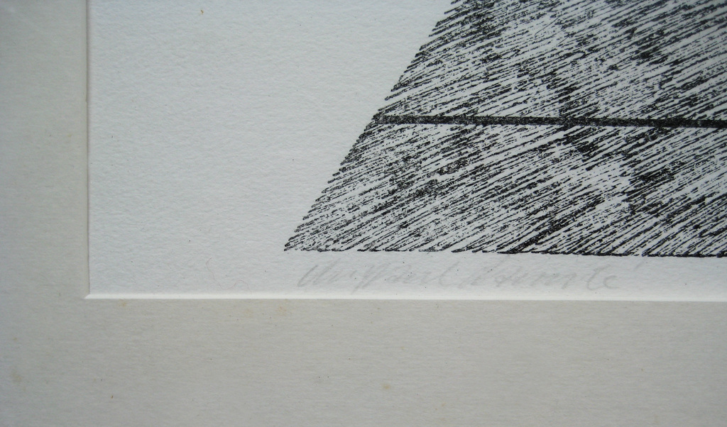 Chr. Paul Damsté, ets en zeefdruk, 1977, 7/100, in houten lijst kopen? Bied vanaf 45!