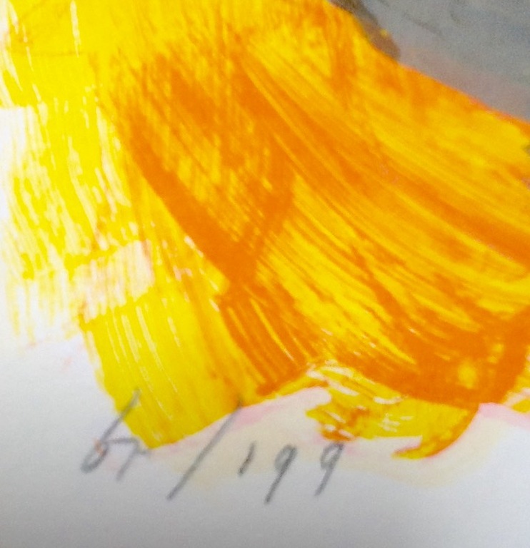 Peter Klashorst,zeefdruk, Big Mac, gesigneerd kopen? Bied vanaf 65!