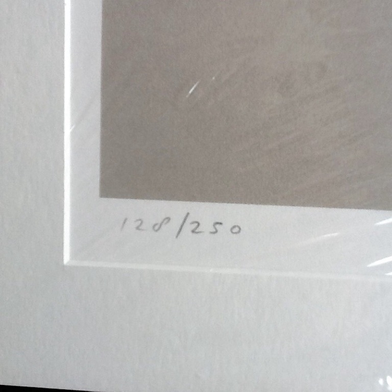 Peter Bes - gesigneerde zeefdruk 1996 kopen? Bied vanaf 1!