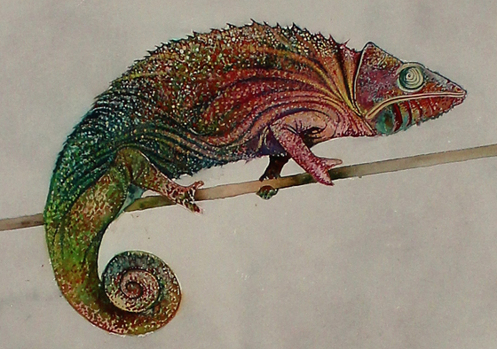 Bruno Bruni -Twee Kameleons- Prachtig mooie Pigmentdruk. Gesigneerd. 2017 kopen? Bied vanaf 69!