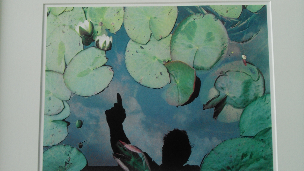 Waterspiegel kopen? Bied vanaf 25!