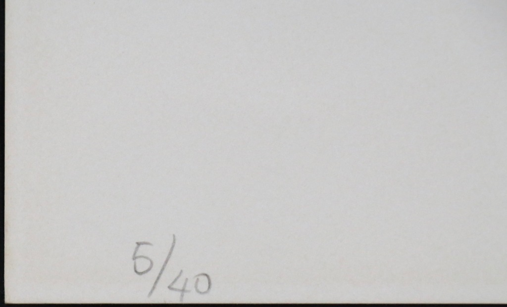 Toon Teeken: Zeefdruk, Pianist kopen? Bied vanaf 1!