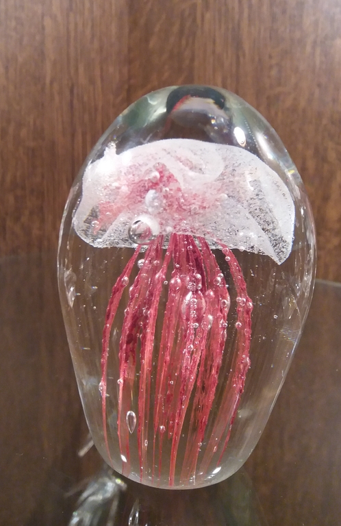 Presse-papier Jellyfish kopen? Bied vanaf 1!