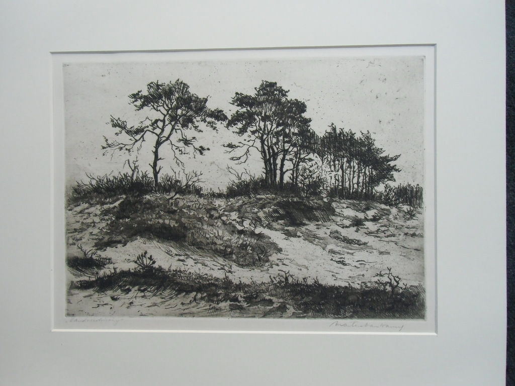 ZANDVERSTUIVING // ETS VAN MARTIN VAN WANING kopen? Bied vanaf 75!