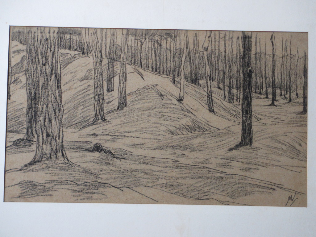 Maurits van der Valk, Bosgezicht in de duinen, Tekening verkocht voor € 40!