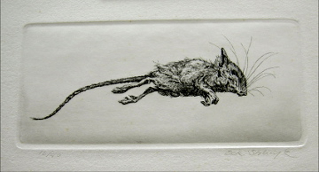 Dick Stolwijk, ets, muis verkocht voor € 36!