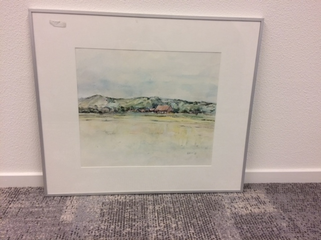 Zoutelande (duinlandschap) kopen? Bied vanaf 200!