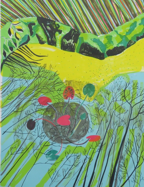 Dorian Hiethaar: Litho, Vijver - Ingelijst kopen? Bied vanaf 20!
