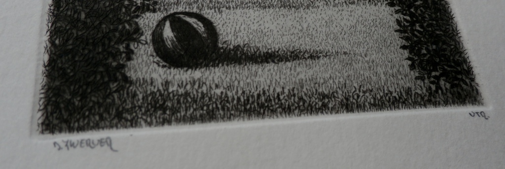 Dolf Zwerver - ets  kopen? Bied vanaf 85!