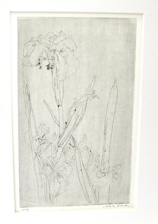 Charles Donker, ets, 'Bloeiende lissen' kopen? Bied vanaf 60!