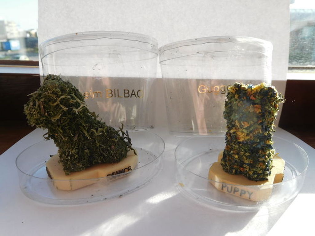 Jeff Koons, 2 Multiples  kopen? Bied vanaf 60!