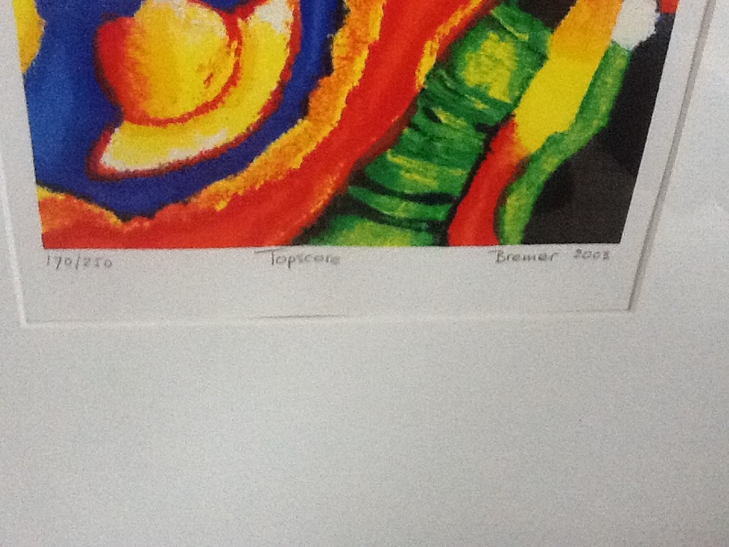 Saskia Bremer : Handgesigneerde Kleurenlitho ' Topscore ' kopen? Bied vanaf 20!