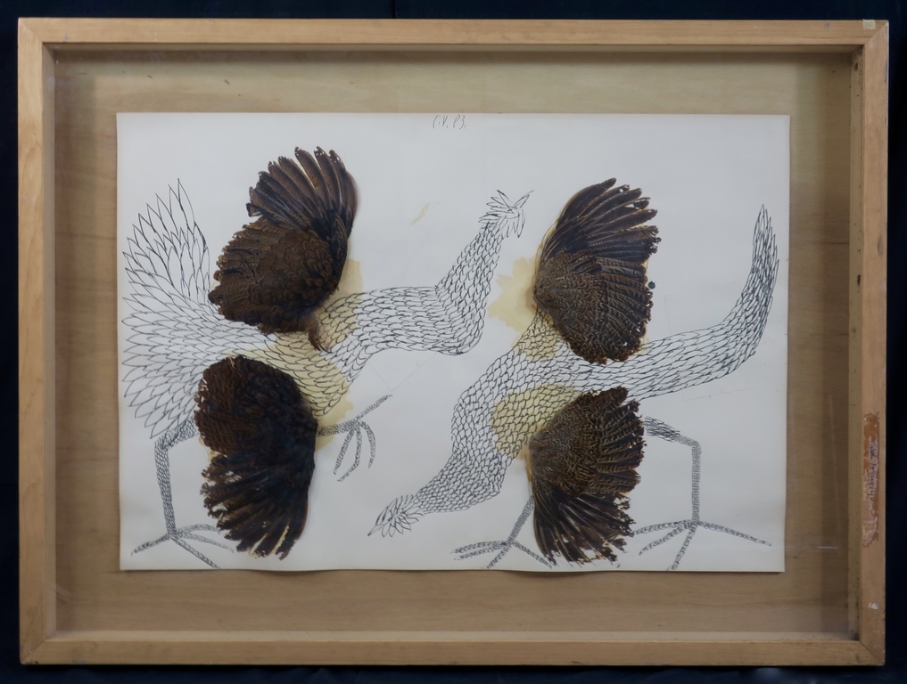 Carel Visser: Gemengde techniek op papier, Hanen - Ingelijst (Groot) kopen? Bied vanaf 500!