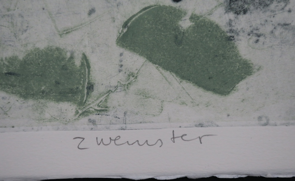 Wim Zurne: Litho, Zwemster kopen? Bied vanaf 1!