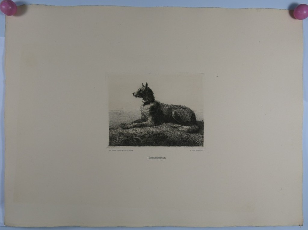 Guillaume Anne van der Brugghen: Ets, Herdershond kopen? Bied vanaf 1!