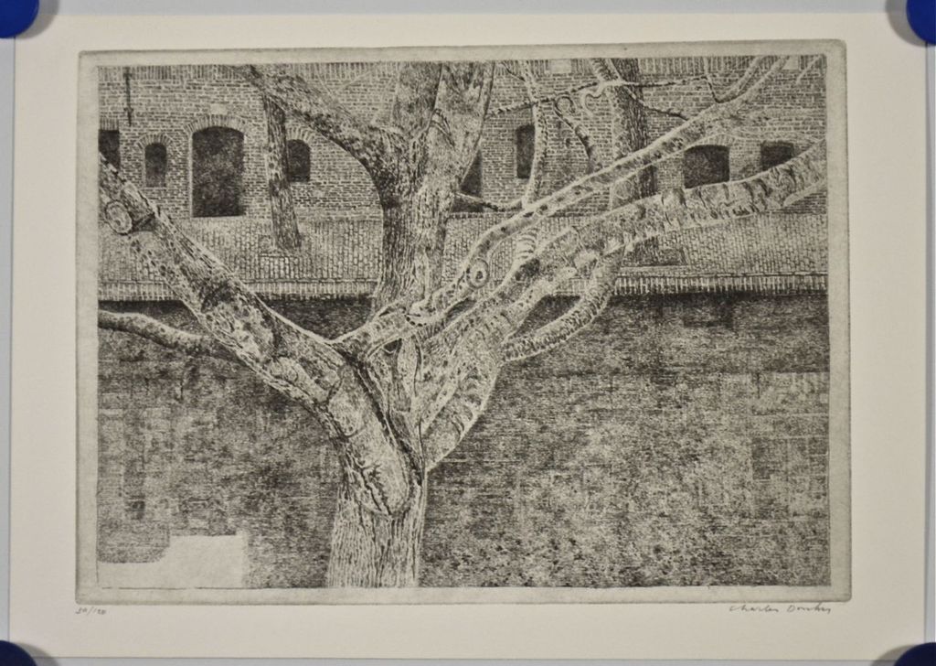 Charles Donker: Ets. Boom langs gracht kopen? Bied vanaf 1!