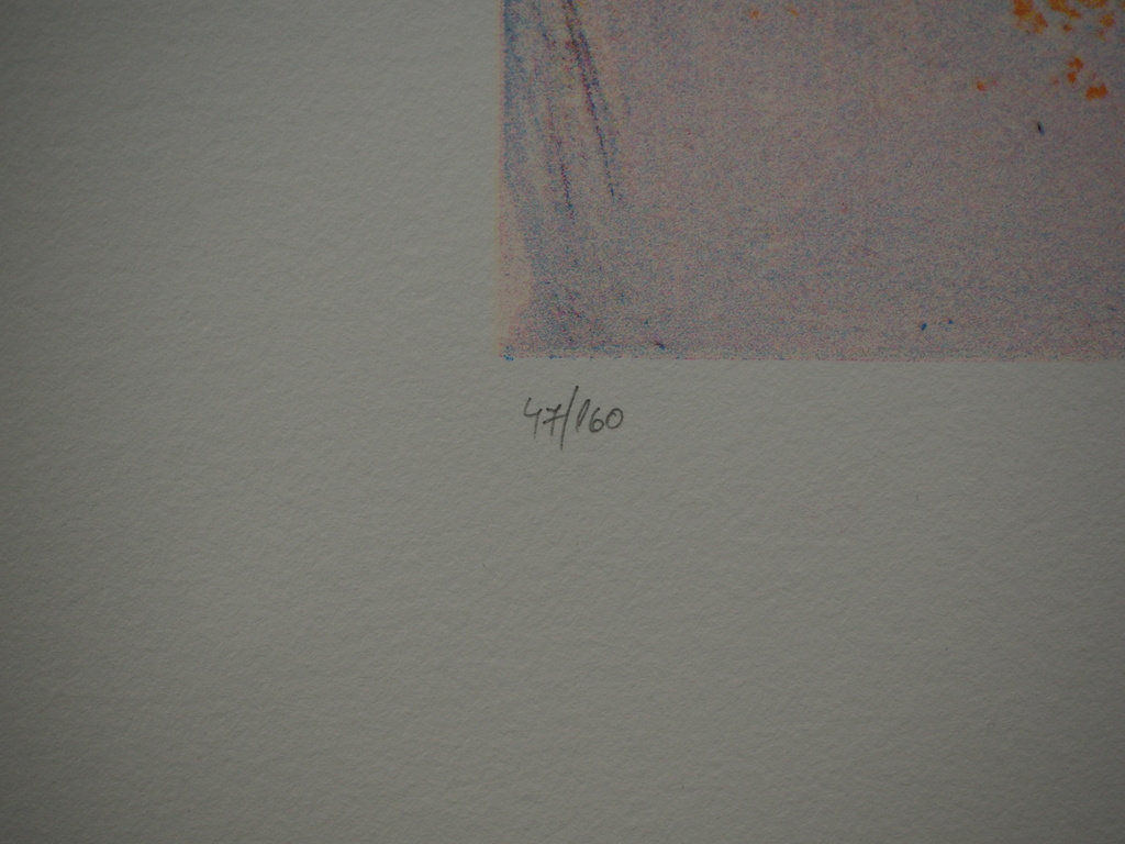 Jan te Wierik: Zeefdruk, zonder titel kopen? Bied vanaf 125!