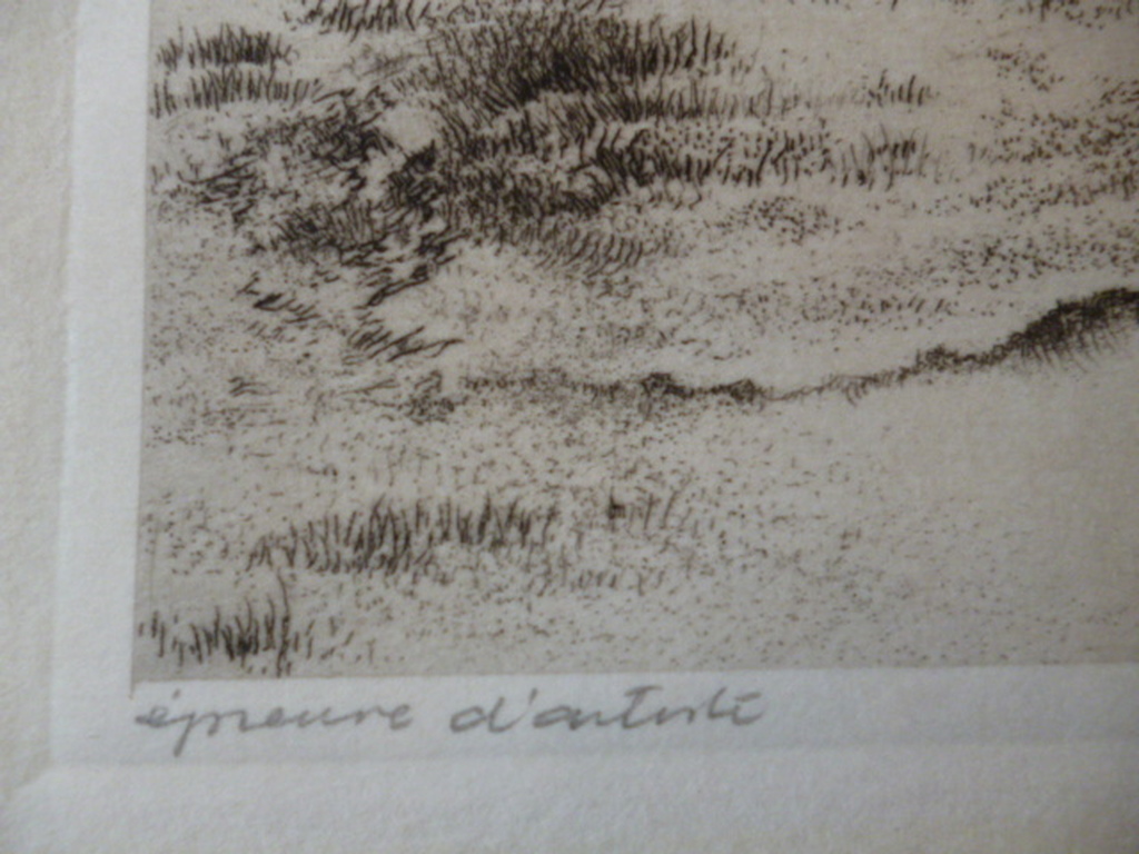 Dirk Harting - ets - Duinpan kopen? Bied vanaf 30!