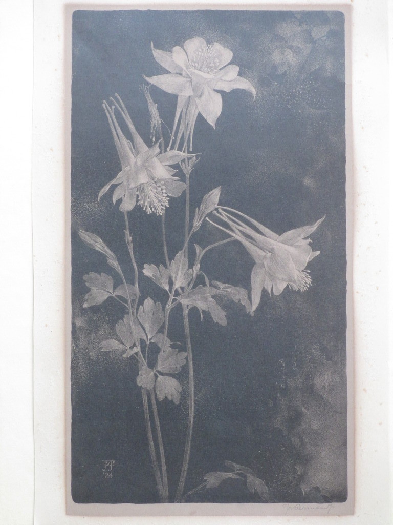 Jan Voerman Jr., Bloeiende bloemen, Litho 1924 verkocht voor € 35!