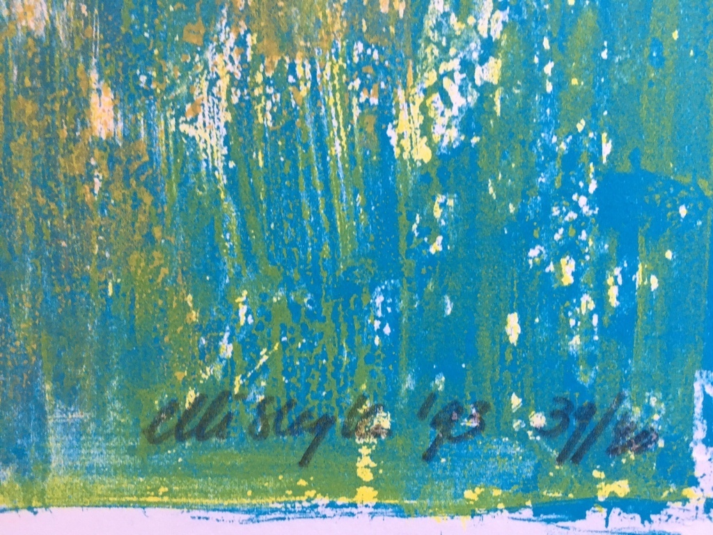 "Vogels" mooie volle druk in groot formaat 80x65cm oplage 39/40 kopen? Bied vanaf 15!