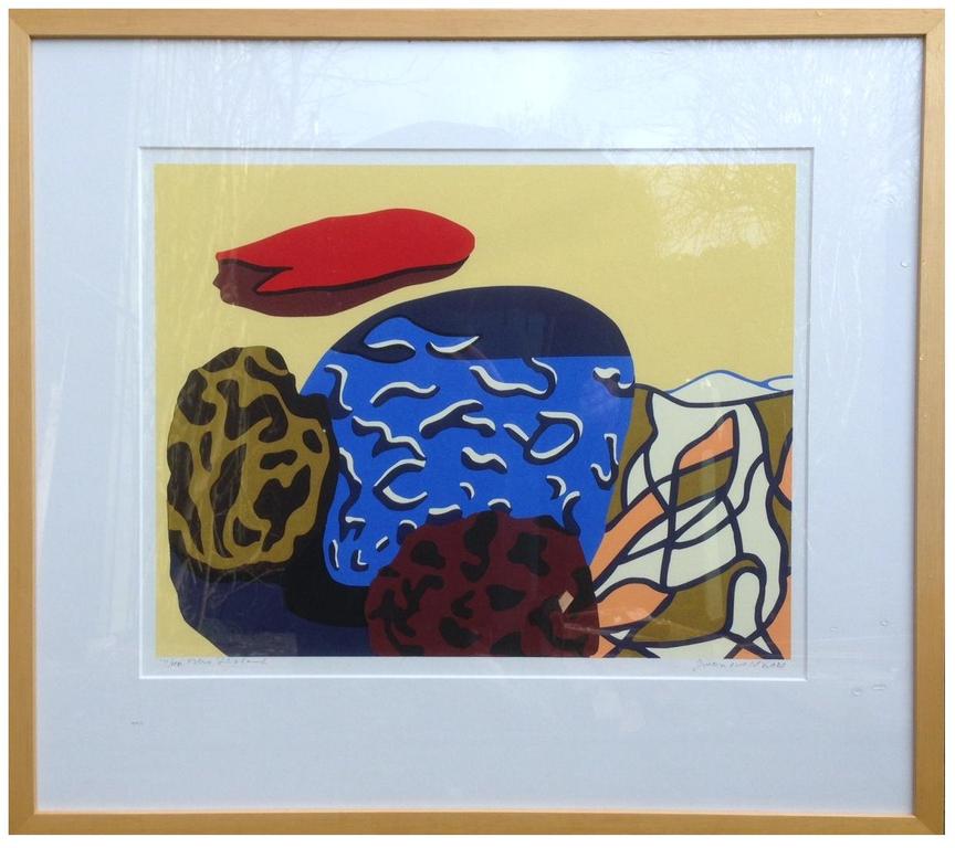 Doris Groeneveld: Kleurenlitho, New Zealand verkocht voor € 55!