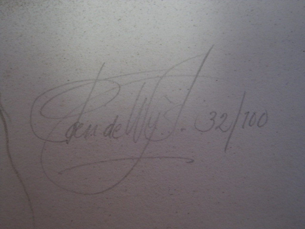 Zeldzaam mooi in kleine oplage gedrukte Poen de Wijs (1948-2014) Litho "Lelie"  kopen? Bied vanaf 1!