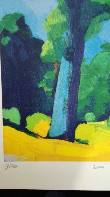 Jentsje Popma, zeefdruk op papier, Titel: Zomer kopen? Bied vanaf 50!