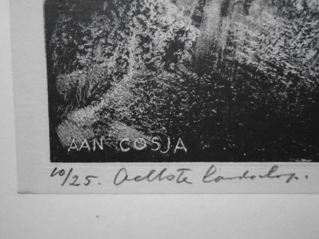 Aart van Dobbenburgh - litho - Achtste landschap kopen? Bied vanaf 40!