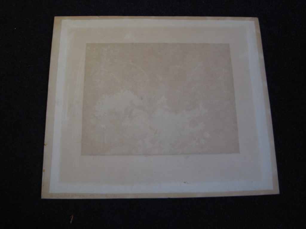 Edgar Fernhout 1912-1974 litho "bloemen" uit de serie "schildersprenten 1947 kopen? Bied vanaf 1!