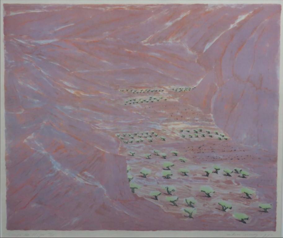 Jan Hein van Rooy: Litho, Campo di Nijar kopen? Bied vanaf 1!