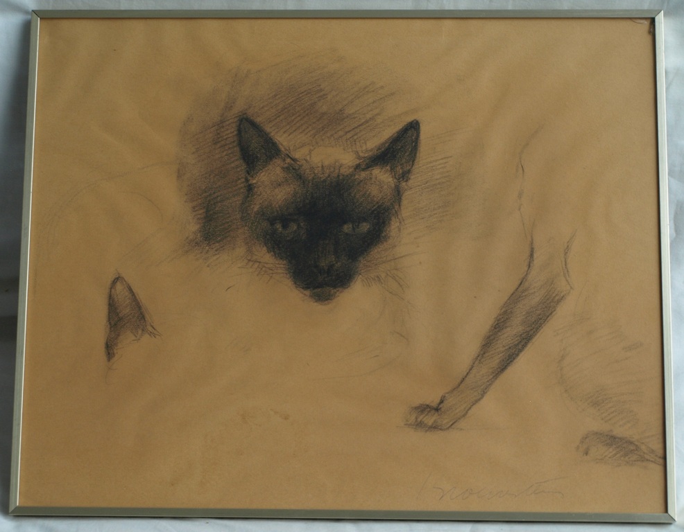 Jan Groenestein : Tekening , KAT – gesigneerd & ingelijst – ca 1960 kopen? Bied vanaf 75!