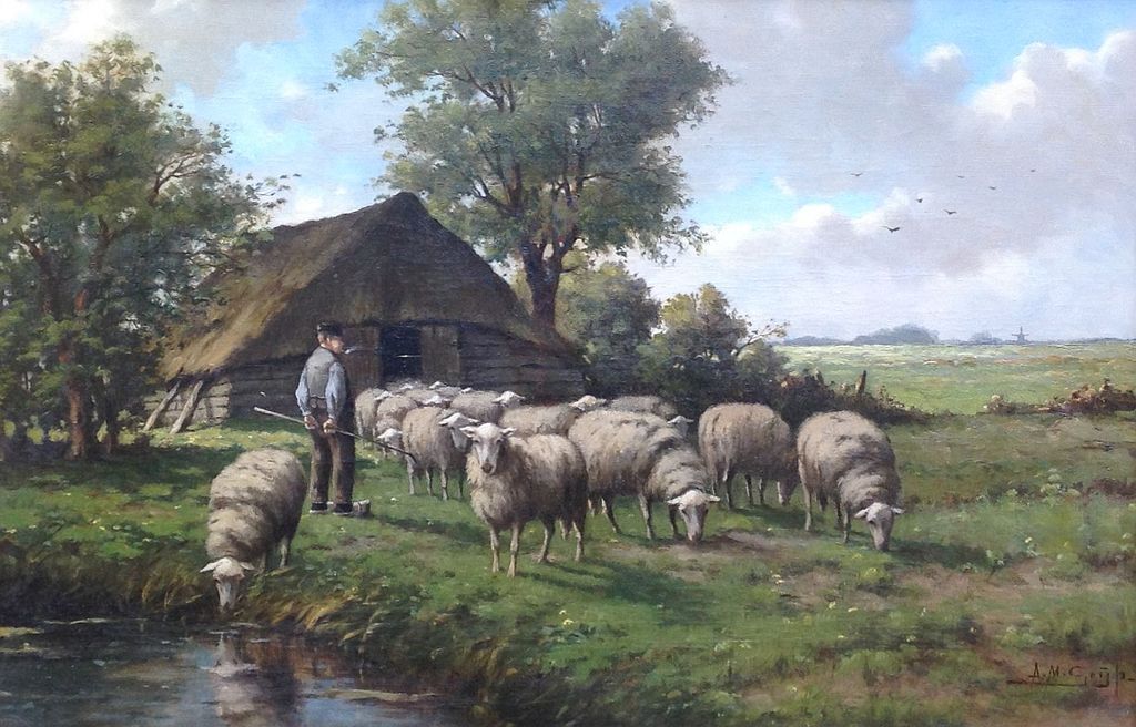 A.M. Geyp, Schapen in landschap verkocht voor € 165!