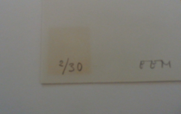 Bert Vredegoor - Zeefdruk - Een roode zoomer - 1980 kopen? Bied vanaf 40!