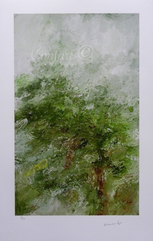 'Waldig' - Giclee - Gesigneerd en Genummerd met de hand - 2015 kopen? Bied vanaf 200!